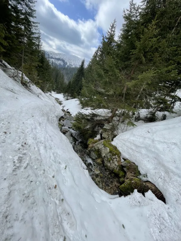 MediSkialp