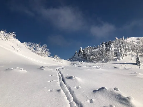 Skimo Women Weekend – Nízke Tatry juh