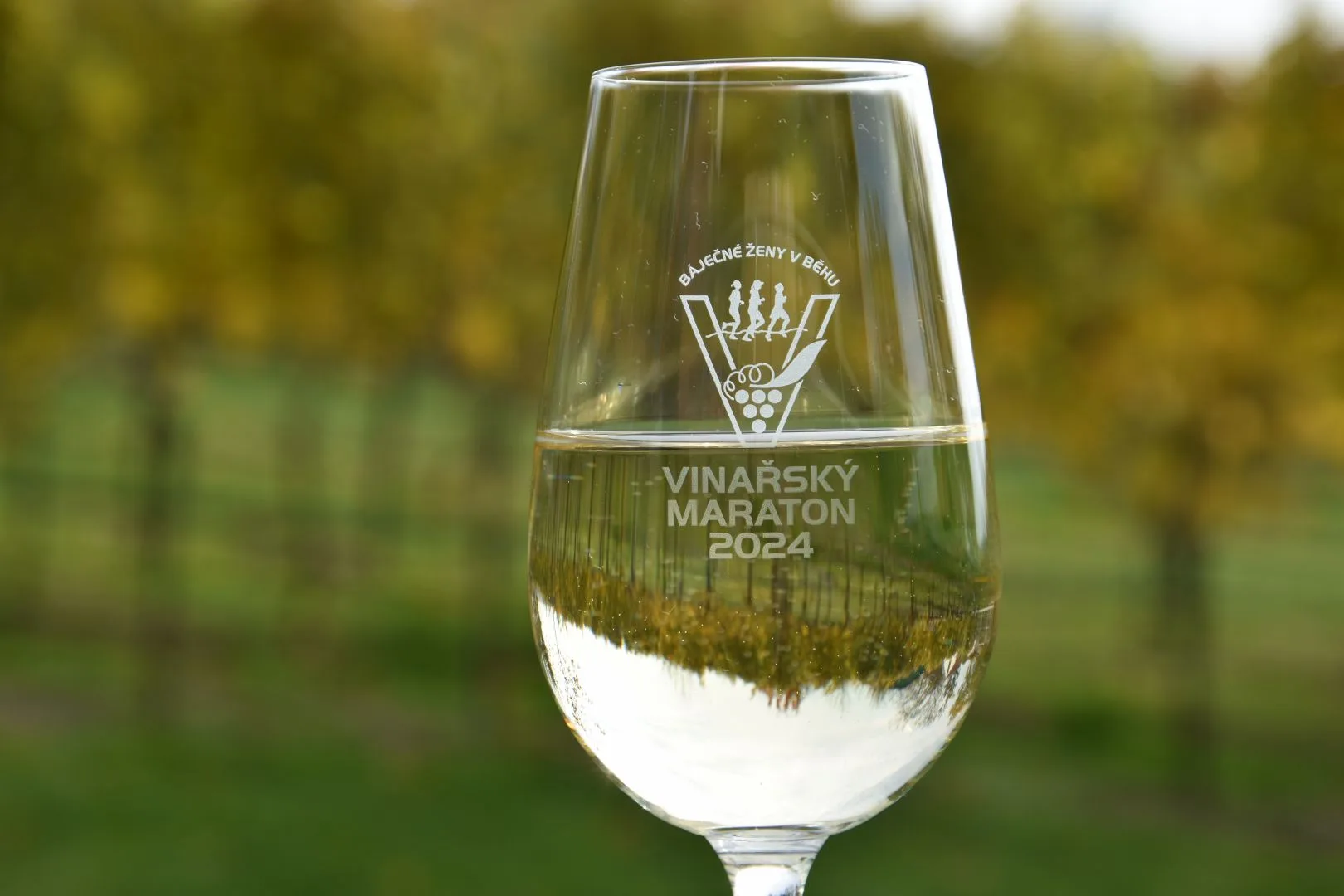 Vinařský maraton 2024 - štafeta Korgovci